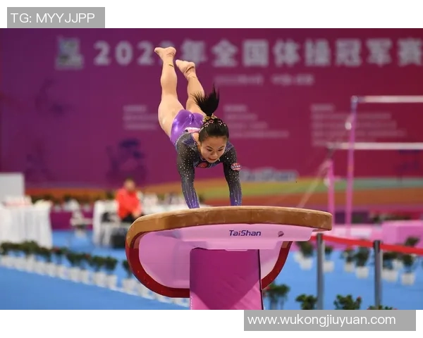 奥运会体操跳马动作难度提升研究