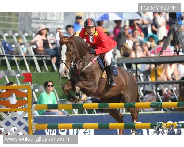 中国马术组合奥运首秀震撼全场成功晋级决赛展现中国力量与风采 中国马术组合奥运首秀震撼全场成功晋级决赛展现中国力量与风采