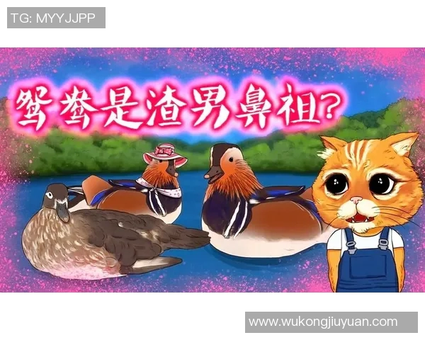 你不知道的三分王背后故事 揭开十大冷知识真相